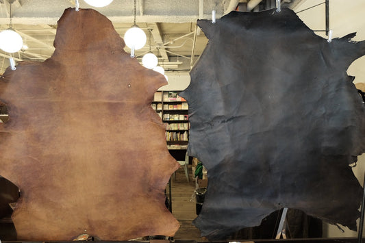 鹿の食事とオーダー会レポート　2023/11　恵文社イベント内