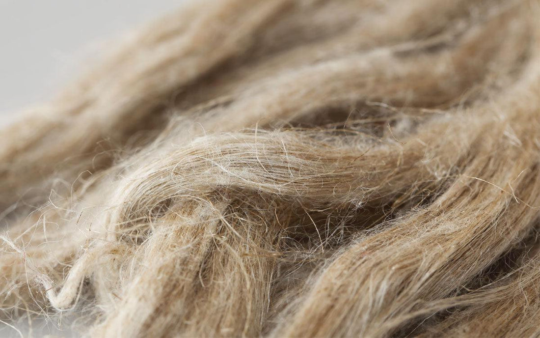 12/22 (sat)　リネンのお話会 #05