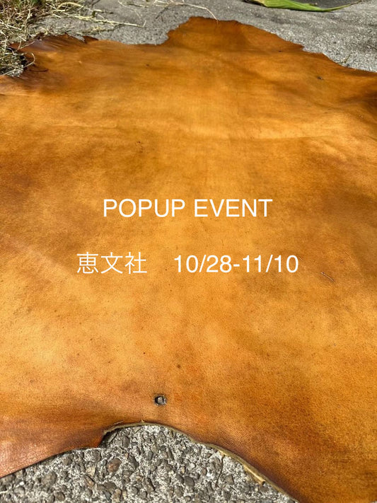 POPUP at 恵文社一乗寺店 10/28-11/10