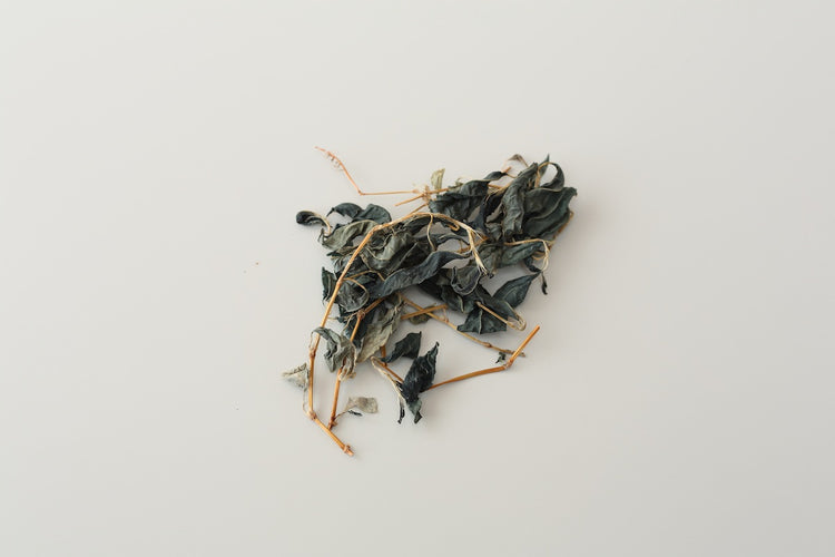 天然染め（本藍 草木 泥 柿渋 墨 ベンガラ）