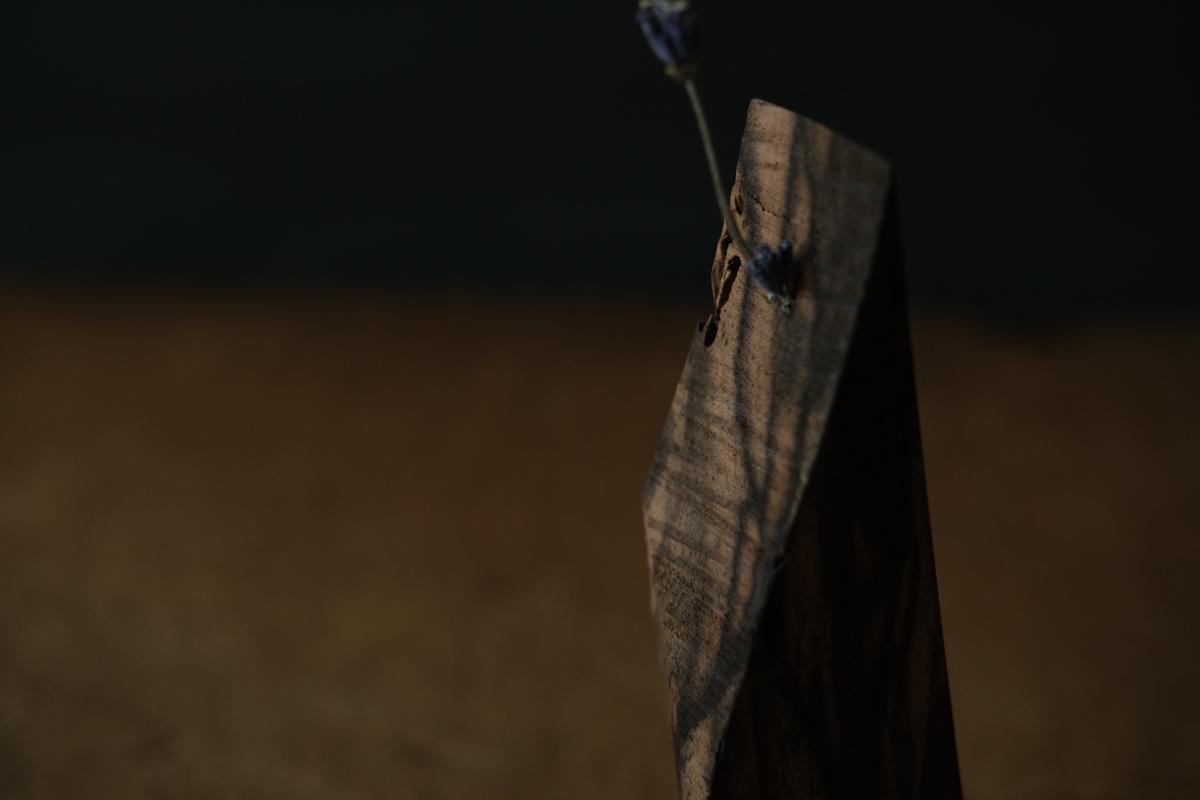 端材オブジェ｜黒柿（E）