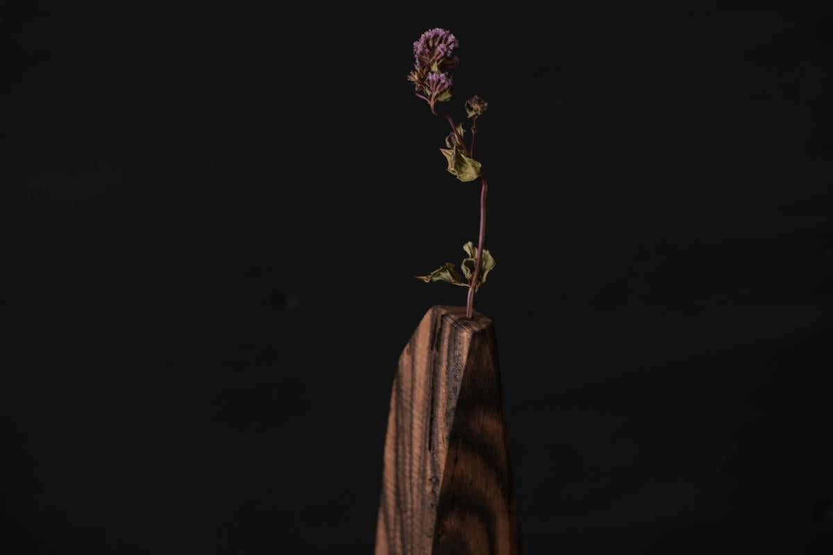 端材オブジェ｜黒柿（D）