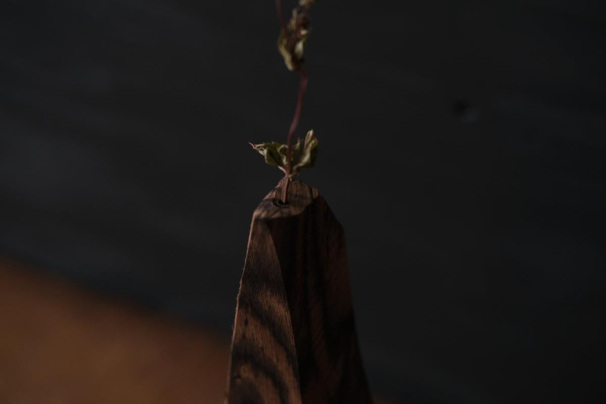 端材オブジェ｜黒柿（D）